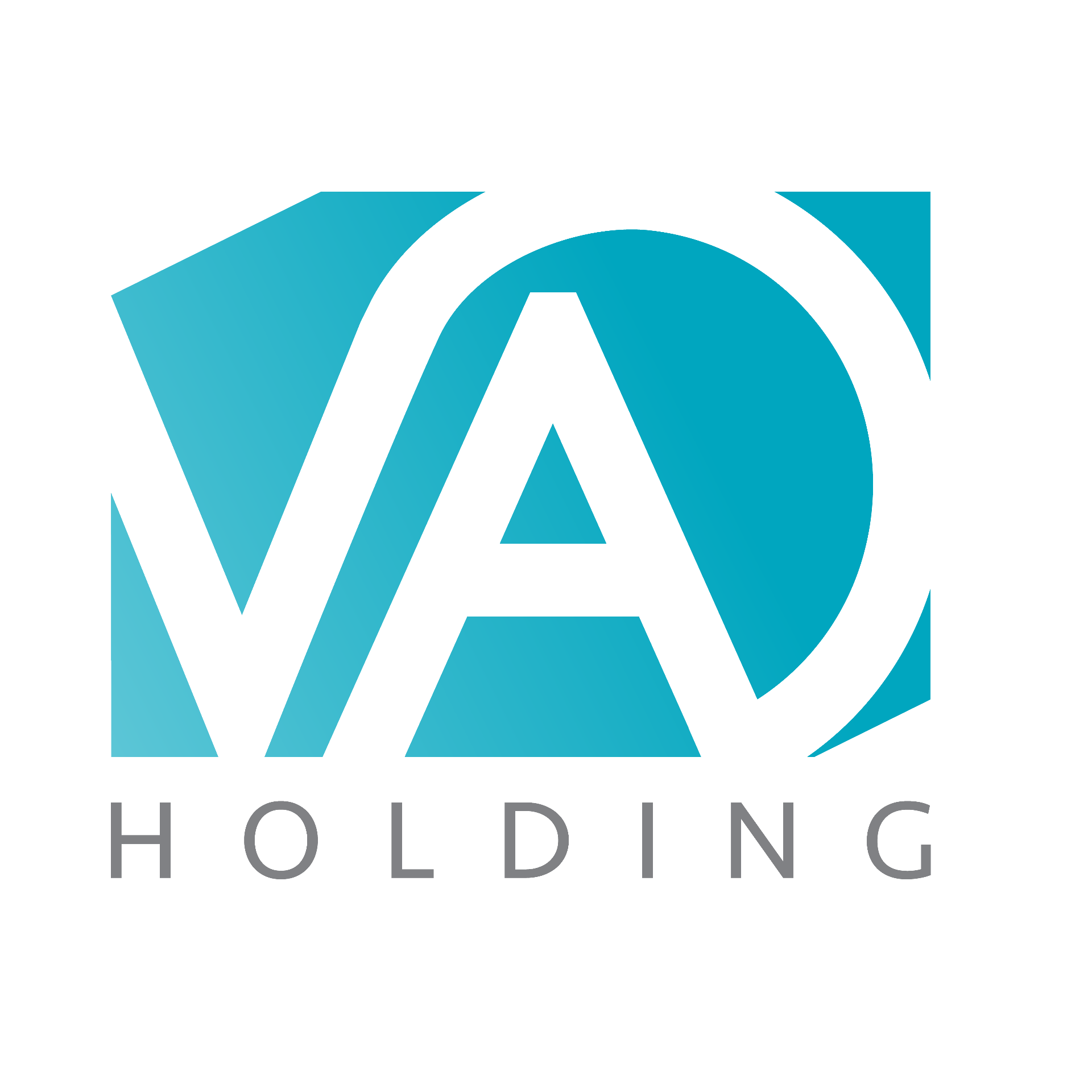VA Holding